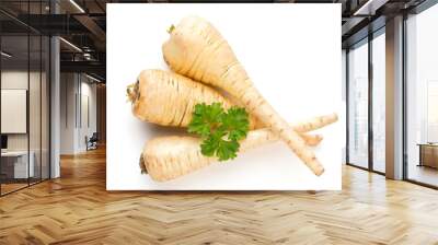 Parsnip isolated on the white background. Wall mural