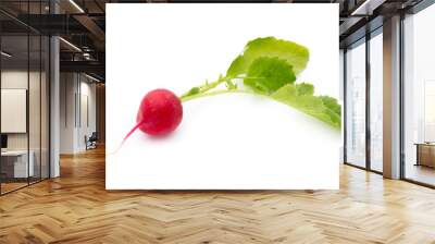 Radish fresh isolated on white background. Wall mural