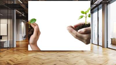 Cluster of hand embracing plant sprout, Isolated on Transparent Background, PNG Wall mural