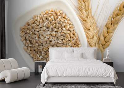 Wheat grain and ears Wall mural