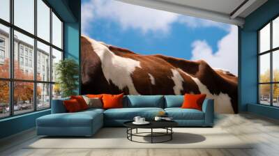 back of an alpine cow with cloudy sky in background Wall mural