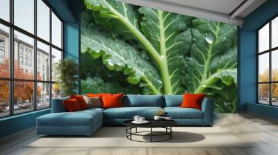 Fresh kale leaf with morning dew, vibrant green vegetable closeup Wall mural