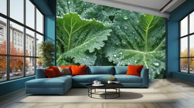 Fresh kale leaf with morning dew, vibrant green vegetable closeup Wall mural