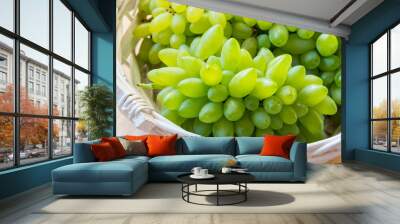 White grape - Pizzutello Wall mural