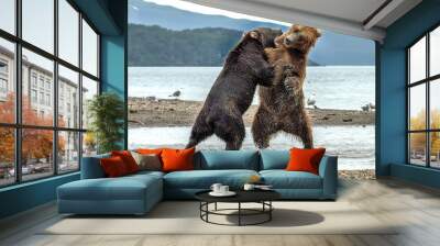 Conflict between bears on Kurile lake, Kamchatka - Russia Wall mural