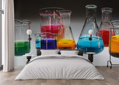 beaker and conical flask with various colored sample Wall mural