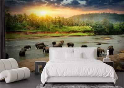 elephants in jungle Wall mural