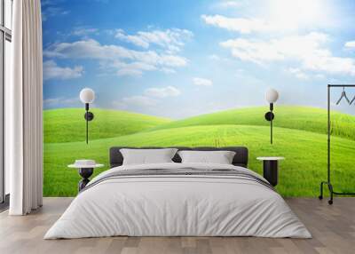 Field of fresh grass Wall mural