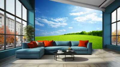 Field of green grass Wall mural