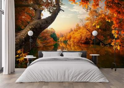 Orange autumn on river Wall mural