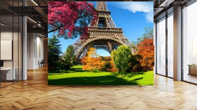 trees in park of paris in autumn Wall mural