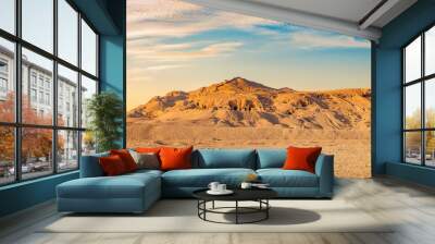 View on desert Wall mural