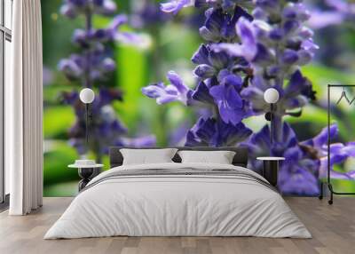 macro garden background Wall mural