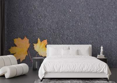 two maple leaves on asphalt Wall mural