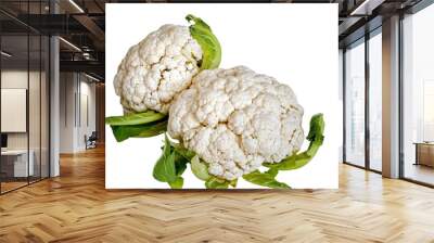 Cauliflowers in isolated Wall mural