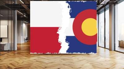 Colorado and Texas states grunge brush flags connection, vector Wall mural