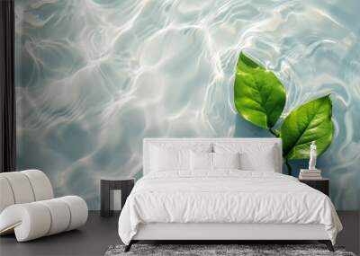 Green leaves on water surface. Beautiful water ripple background for product presentation. Copy space Wall mural