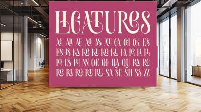 Set of additional ligatures for classic typeface Wall mural