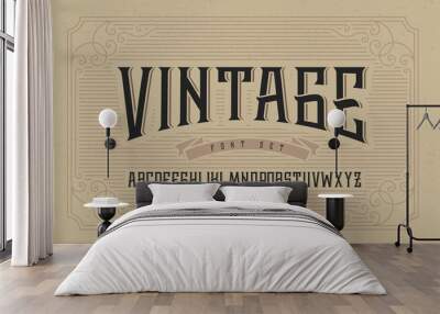 Vintage font set on cardboard texture vector background with decorative ornate frame. Wall mural