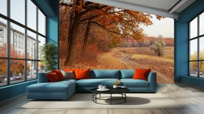 Scenic autumn landscape with dirt road Wall mural