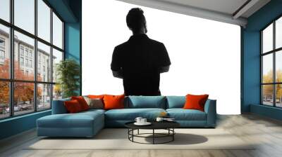 Back side silhouette of male person , back view back lit over white Wall mural