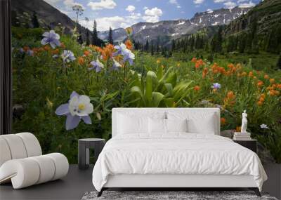 Columbine, Indian paintbrush and other wildflowers, Yankee Boy Basin, near Ouray, Colorado. Wall mural