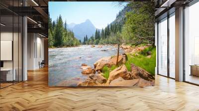 mountain lake, river and mountains on the Colorado trail with old mines nearby Wall mural