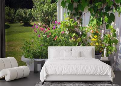 Gardenlife in Sweden, Scandinavia. Old vintage bath tub made to a pot with sweet peas. Grapes on the wall. Lovely weather during a summer day in the garden. Wall mural