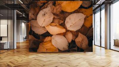 Close-up of autumn leaves in brown and yellow tones on the ground. Nature background with dry foliage. Design for wallpaper, poster, or print Wall mural