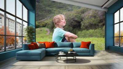 A happy little boy sitting on the grass enjoying a summer day. People in nature. Wall mural