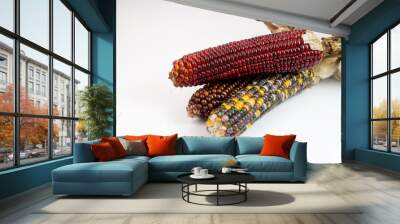 Decorative corn Wall mural