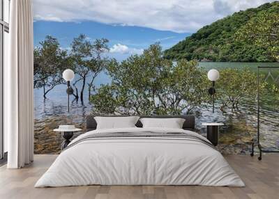 Tropical Mangroves in Shallow Sea Water with Mountain Rising, Con Dao Island, Vietnam Wall mural