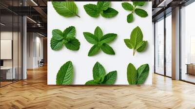 A vibrant assortment of fresh green mint leaves is displayed against a clean white background, showcasing their natural texture and symmetrical arrangement. Wall mural