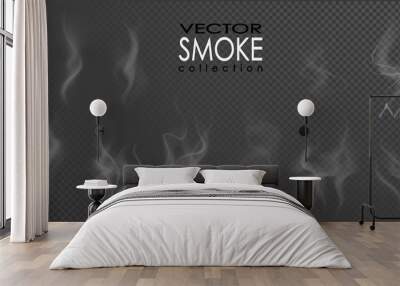 Smoke vector collection, isolated, transparent background. Set of realistic white smoke steam, waves from coffee,tea,cigarettes, hot food,... Fog and mist effect. Wall mural