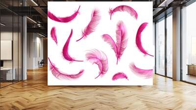 vector feathers collection, set of different falling fluffy twirled feathers, isolated on transparen Wall mural