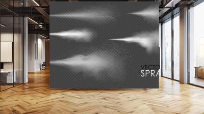 Water spray, white smoke, dust and dots, mist of atomizer. Vector effect, 3d illustration, cosmetic design. Wall mural