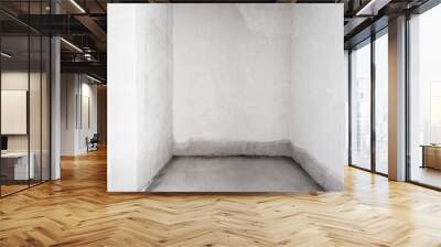 interior of the apartment without decoration in gray colors. rough finish Wall mural