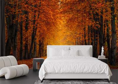 autumn alley along with tall trees with lush vibrant orange yellow foliage and bright sunlight in the distance Wall mural