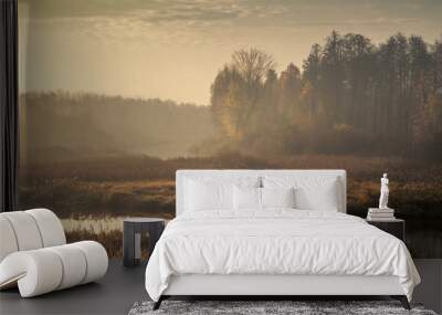 Autumn morning foggy landscape. sad view of an overgrown narrow stream in a marshy area with a coastal lush dry reed and light forest in twilight haze in overcast weather Wall mural