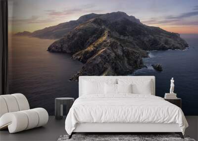 Catalina Dynamic Wallpaper  V Wall mural