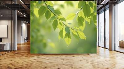 Fresh spring aspen leaves creating a delicate green mosaic Wall mural