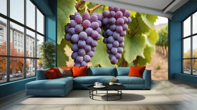 Ripe Grapes in Lush Vineyard  Vibrant Purple and Green Harvest Wall mural