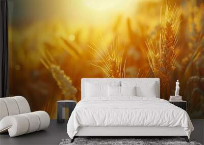 Wheat in a field ready to be harvested Wall mural