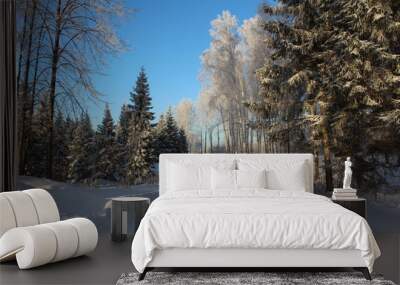 Beautiful snowy forest cold winter in December Wall mural