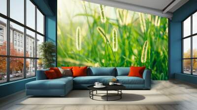 Beautiful grass details in summer in sunset Wall mural