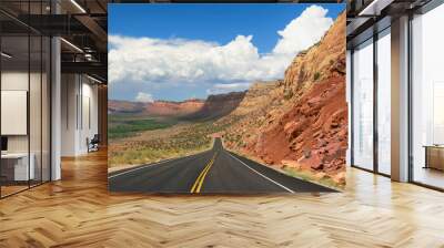 Bicentennial Highway, or Utah State Route 95, through desert and red rock formations outside of Blanding, Utah Wall mural