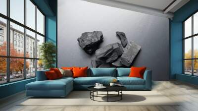 Black wooden charcoal on black background top view which use for absorb odor in room and represent pure nateral power or energy material for cook in kitchen  Wall mural