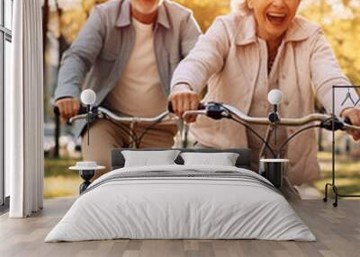 happy senior couple riding bicycle at park, active old people Wall mural