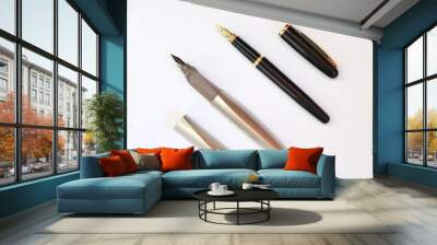 Fountain pens. One classic and one modern ones. Wall mural