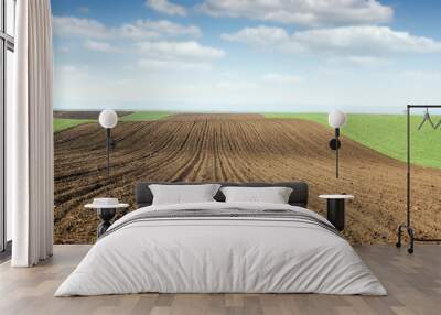 plowed field and green wheat landscape spring season Wall mural